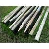 Image 4 : 25X THE BID - Fence poles various diameter - 8ft long