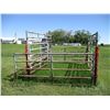 Image 2 : 10x10 holding pen with squeeze head gate