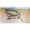 Image 1 : *Horse collar and girdles