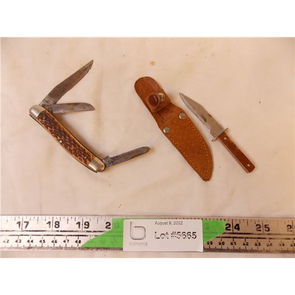 (2) Knives ( Jack knife and a Tiny Novelty Knife w/ Case)