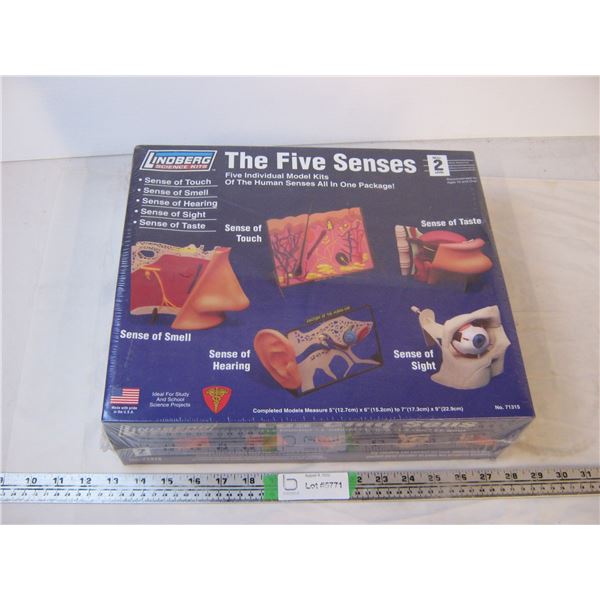 The Five Senses Lindberg Science Model Kit (new,sealed)