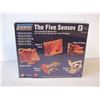 Image 3 : The Five Senses Lindberg Science Model Kit (new,sealed)