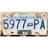 Image 1 : B.C. 1992 License Plate