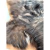 Image 10 : *Black Silver-Tip Timber Wolf Head Mount floor rug / 79” Long x 61” Wide (comes with Permit)