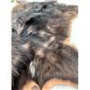 Image 11 : *Black Silver-Tip Timber Wolf Head Mount floor rug / 79” Long x 61” Wide (comes with Permit)