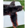 Image 6 : *Black Bear Head Mount floor rug / 62” Long x 64” Wide (comes with Permit)