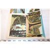 Image 7 : Vintage Picture/Postcards of Stanley Park, Capilano