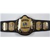 Image 2 : BRETT THE HITMAN HART SIGNED WWF WRESTLING BELT (JSA COA)