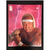 Image 1 : HULK HOGAN SIGNED 16 X 20 (JSA COA)