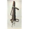 Image 1 : Harpham Bro's Bridle