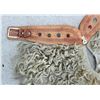 Image 2 : Childs Angora Chaps