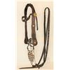 Image 1 : Indian Bridle