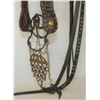 Image 2 : Indian Bridle