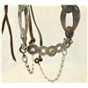 Image 4 : Idaho Prison Silver Bridle