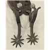 Image 2 : Rex Schnitger Spurs