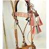 Image 2 : Deerlodge Horsehair Bridle