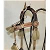 Image 2 : Deerlodge Horsehair Bridle