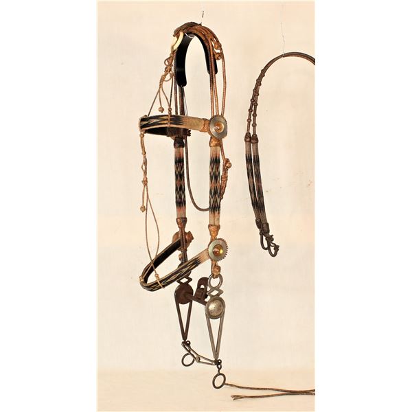 Rawlins Horsehair Bridle