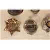 Image 2 : Group of Badges