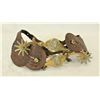 Image 1 : Buerman Indian Head Spurs