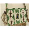 Image 3 : Plains Beaded Bag