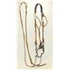 Image 1 : Rawhide Braided Bridle
