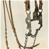 Image 2 : Rawhide Braided Bridle