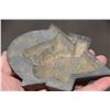 Image 3 : Cast Iron Paperweight