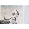 Image 2 : Chief Lone-Tree Postcards