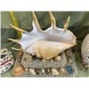 Image 2 : Vintage seashell lamp, trinket box, and vase. Some damages to shells on vase, and missing a seashell