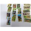 Image 3 : 32x "Animals and their Young" Brook Bond - Red Rose Tea Cards
