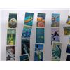 Image 2 : 32x "Exploring the Sea" Brook Bond - Red Rose Tea Cards