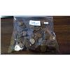 Image 2 : Bag Full of Assorted Canadian Pennies (Range of Different Years)