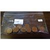 Image 1 : Bag of 1967 Canadian 1¢ Coins
