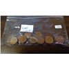 Image 2 : Bag of 1967 Canadian 1¢ Coins