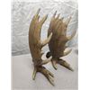 Image 2 : (2) Beautiful Antler Carvings (Moose Design)