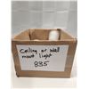 Image 2 : Ceiling/Wall Light