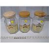 3 Glass Planters Jars