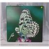 Image 1 : Butterfly Picture - 20x20"