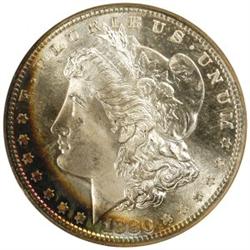 Lot of 9 Stunning Frosty White Morgans  $ 1