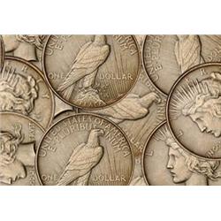 Lot of 10 Peace Silver Dollars