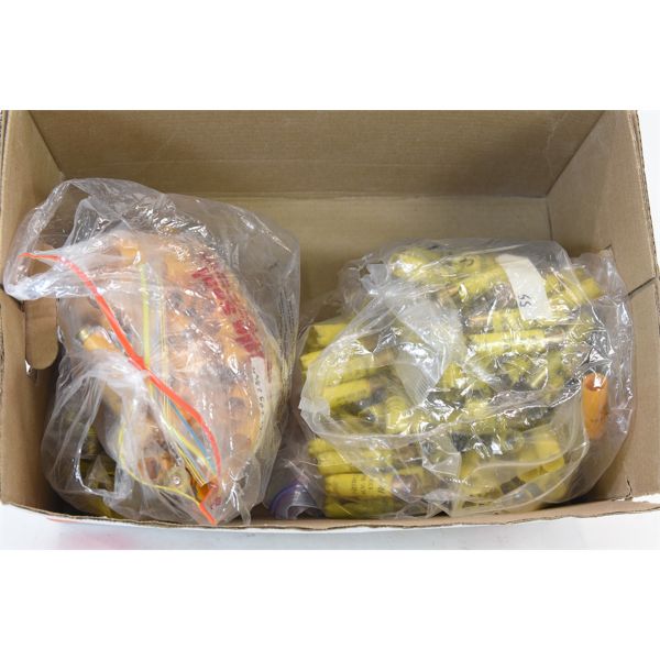 Box Lot 12 Gauge Hulls