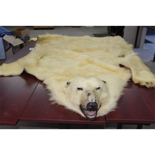 Polar Bear Rug