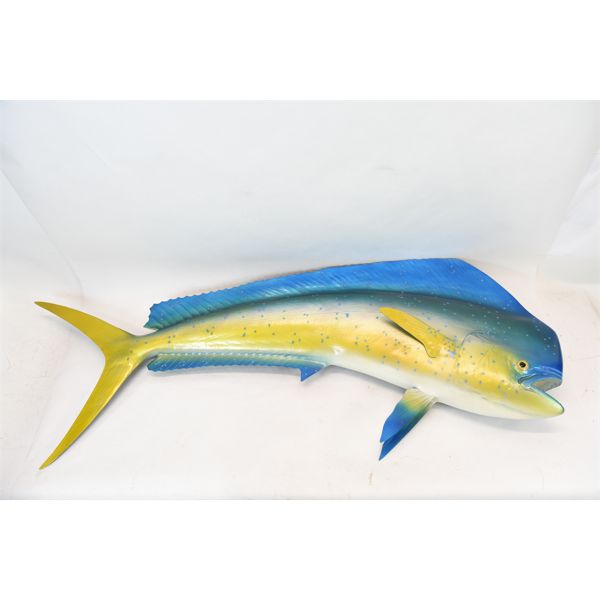 Mahi-Mahi Fish Mount