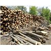 Image 1 : Michigan - Ten Pulp Cord of Firewood