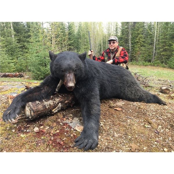 British Columbia- 6 Day - Black Bear and Wolf Hunt for One Hunter