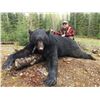 Image 1 : British Columbia- 6 Day - Black Bear and Wolf Hunt for One Hunter