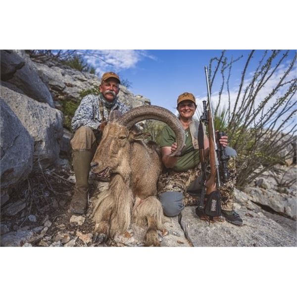 *Texas – 3.5 Day – Aoudad Hunt for One  Hunter