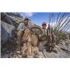 Image 1 : *Texas – 3.5 Day – Aoudad Hunt for One  Hunter