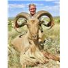 Image 2 : *Texas – 3.5 Day – Aoudad Hunt for One  Hunter